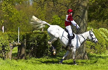 Young man rides a grey mare horse in a cross-country eventing competition, Oxfordshire, United Kingdom