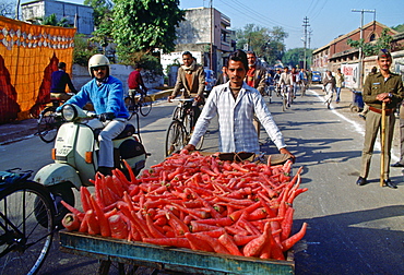 Transporting food to market  through the streets of Islamabad, Pakistan