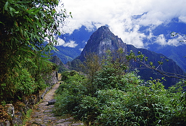 Trail to Machu Picchu ruins of Inca citadel in Peru, South America