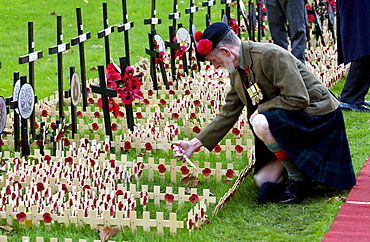 Private Joe Roberts of the Black Watch Regiment visiting the field of remembrance at Westminster Abbey commemorating the war dead