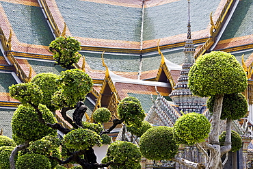 Topiary at The Grand Palace and Temple complex, Bangkok, Thailand