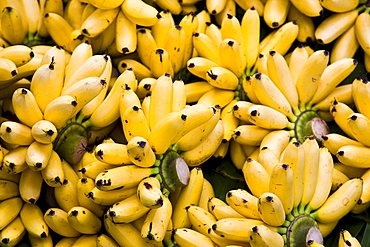 Bunches of bananas, Bangkok, Thailand