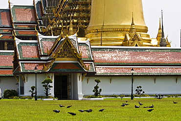 Roofs of the Prasat Phra Thep Bidon and Phra Sri Ratana Chedi, Bangkok, Thailand.