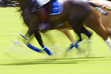 Polo match in Hampshire, England, United Kingdom