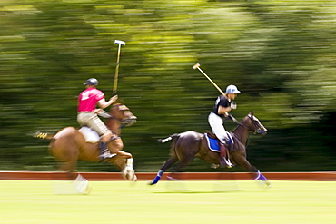 Polo match in Hampshire, England, United Kingdom