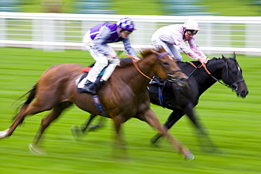 Horseracing at Ascot Racecourse, Berkshire, England, United Kingdom