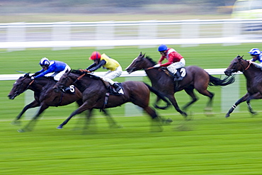 Horseracing at Ascot Racecourse, Berkshire, England, United Kingdom