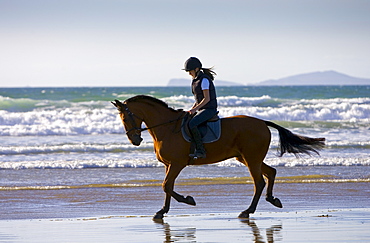 Young woman rides a bay horse on Broad Haven Beach, Pembrokeshire, Wales, United Kingdom