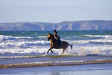 Young woman rides a bay horse on Broad Haven Beach, Pembrokeshire, Wales, United Kingdom