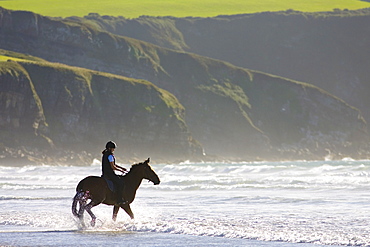 Young woman rides a bay horse on Broad Haven Beach, Pembrokeshire, Wales, United Kingdom