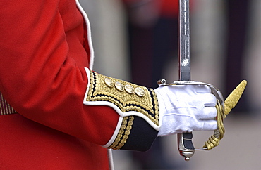 Guardsman with sword, United Kingdom.