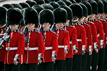 Guardsmen at Military Parade in London, United Kingdom.