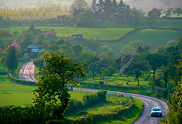 Car on a country lane in Herefordshire, England