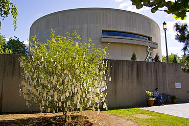 Wish Tree for Washington D.C' by Yoko Ono at The Hirshhorn Museum and Sculpture Garden, USA