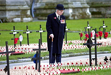 A war veteran touring the Field of Remembrance at St Margaret's Church in Westminster, London