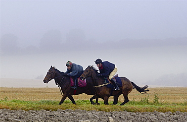 Jockeys riding racehorses on gallops in the Cotswolds, Swinbrook, Oxfordshire, UK