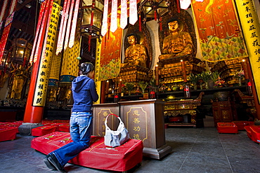 Woman prays to Golden Buddhas in the Grand Hall of Magnificence of the Jade Buddha Temple, Shanghai, China