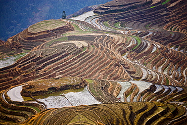 Flooded Long Ji rice terraces at Longsheng, near Guilin, China