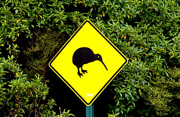 Road traffic sign - look out for kiwis, North Island, New Zealand