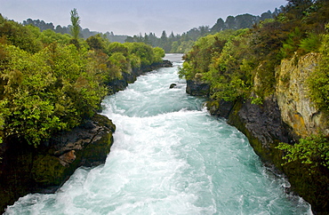 Waterfall, North Island, New Zealand