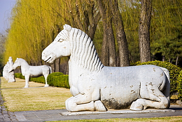 Statue of a resting horse, Spirit Way, Ming Tombs, Changling, Beijing, China