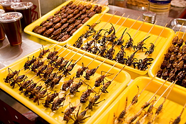 Deep fried grasshoppers, silkworms and scorpions for sale in the Night Market, Wangfujing Street, Beijing, China