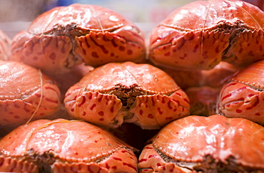 Steaming crabs in the Night Market, Wangfujing Street, Beijing, China