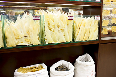 Sharks fins on sale in shop in Wing Lok Street, Sheung Wan, Hong Kong, China