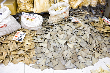 Sharks fins on sale in shop in Wing Lok Street, Sheung Wan, Hong Kong, China