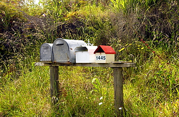 Row of mailboxes, North Island, New Zealand