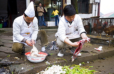 Chinese chefs gut rabbit and pluck chicken to cook for restaurant customers at Bao Ding near Chongqing, China