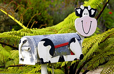 Cow design mailbox, North Island, New Zealand