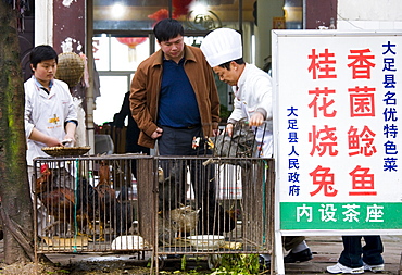 Chinese chefs with customer choosing a chicken to cook in restaurant at Bao Ding near Chongqing, China