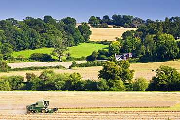 Combine harvester in a wheat field, Herefordshire, England, United Kingdom