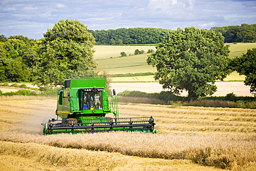 Combine harvester at work in wheat field near Shipton-under-Wychwood