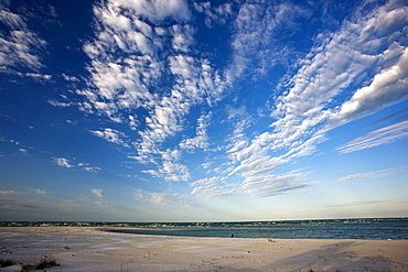 Idyllic shoreline and sandy beach at Anna Maria Island, Florida, United States of America