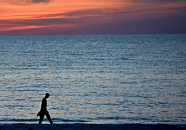 Man takes sunset stroll at Anna Maria Island, Florida, United States of America