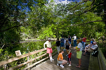 Tourists on the Big Cypress Bend boardwalk at Fakahatchee Strand, the Everglades, Florida, United States of America