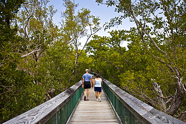 Tourists on boardwalk in the Everglades, Florida, United States of America