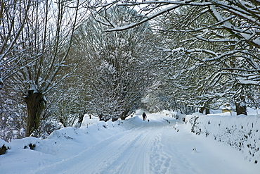 Man walking his dog in snow-covered  lane in Swinbrook, The Cotswolds