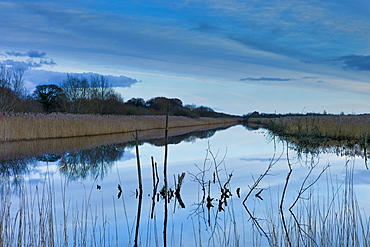 Avalon Marshes at Shapwick Heath Nature Reserve in Somerset, UK