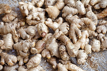 Old Delhi, Daryagang fruit and vegetable market - ginger root on sale, India