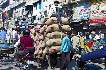 Porters with sacks of dates at Khari Baoli spice and dried foods market, Old Delhi, India