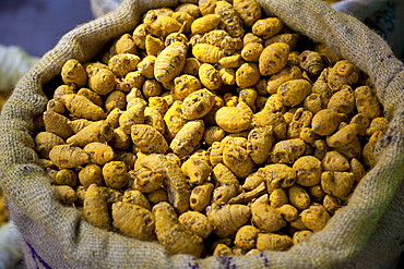 Yellow turmeric on sale at Khari Baoli spice and dried foods market, Old Delhi, India