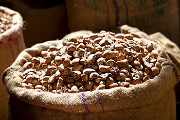 Betel nuts (Areca Nut) on sale at Khari Baoli spice and dried foods market, Old Delhi, India