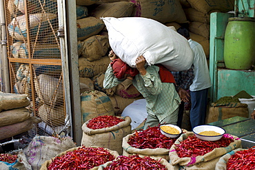 Red chillies on sale at Khari Baoli spice and dried foods market and porter carries heavy load, Old Delhi, India