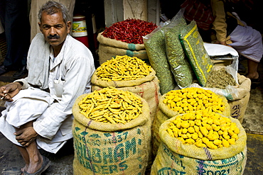 Yellow turmeric and red chillies on sale at Khari Baoli spice and dried foods market, Old Delhi, India