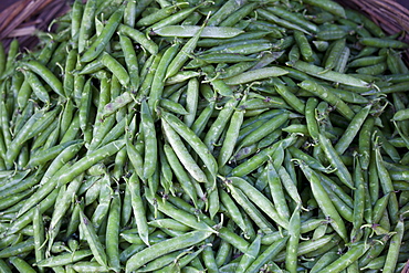 Fresh peas in a pod on sale at market stall in Varanasi, Benares, India