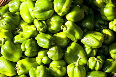 Fresh green peppers, capsicums, on sale at market stall in Varanasi, Benares, India