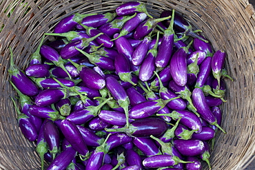 Fresh aubergines on sale at market stall in Varanasi, Benares, India